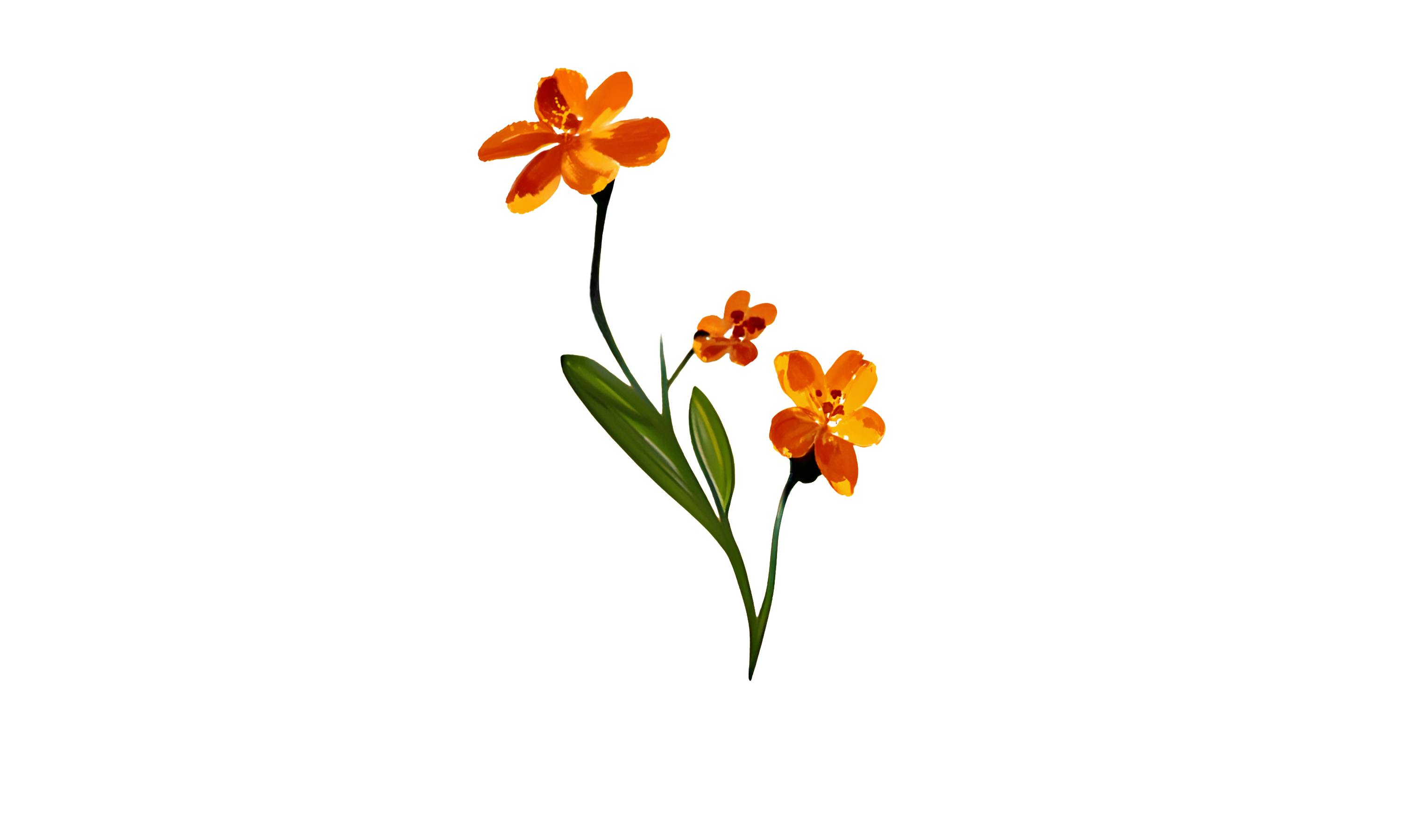 AudioFlower